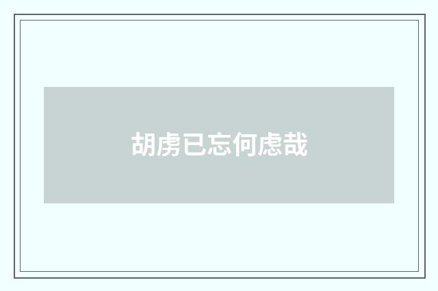 胡虏已忘何虑哉