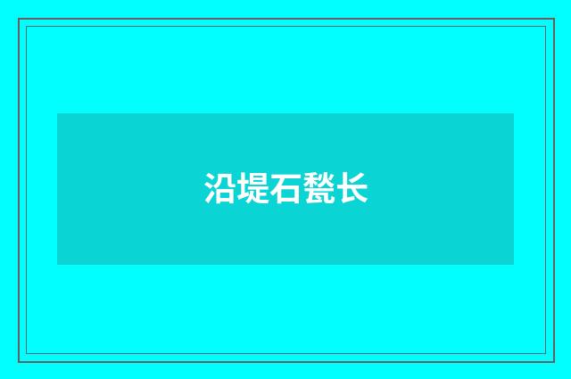 沿堤石甃长