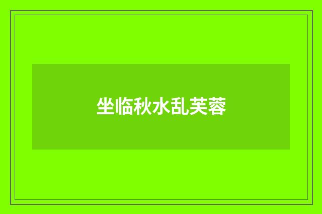 坐临秋水乱芙蓉