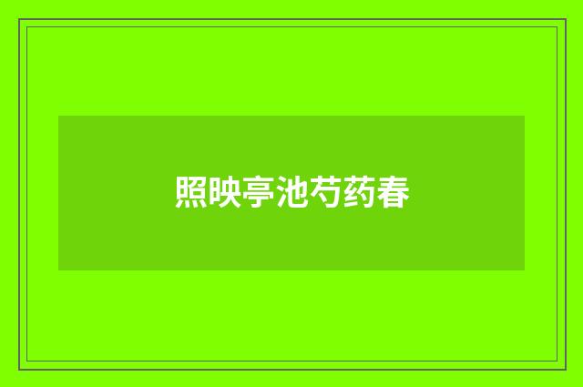 照映亭池芍药春
