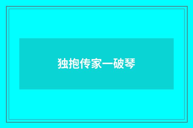独抱传家一破琴
