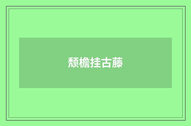 颓檐挂古藤