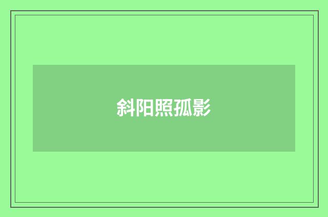 斜阳照孤影