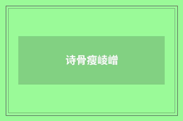 诗骨瘦崚嶒