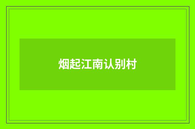 烟起江南认别村