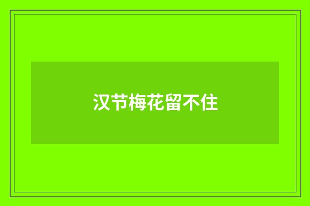 汉节梅花留不住