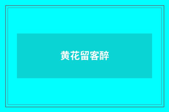黄花留客醉