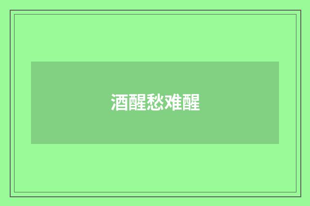 酒醒愁难醒