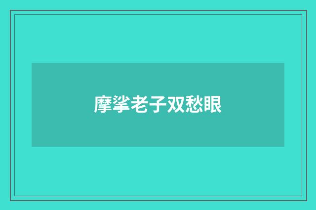 摩挲老子双愁眼