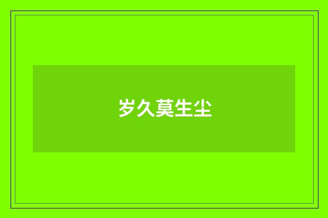 岁久莫生尘