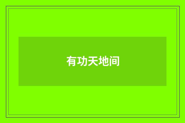 有功天地间