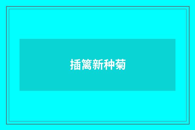 插篱新种菊