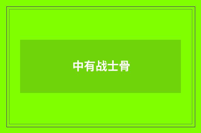 中有战士骨