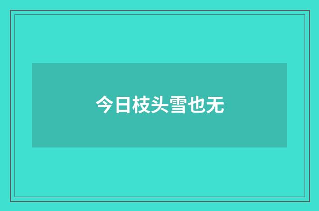 今日枝头雪也无