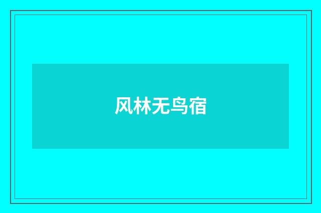 风林无鸟宿