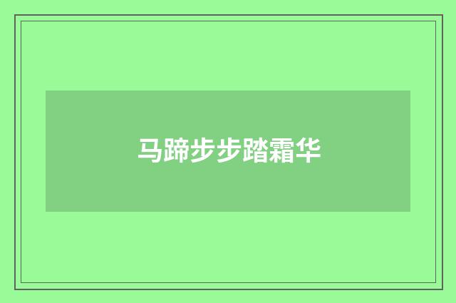 马蹄步步踏霜华