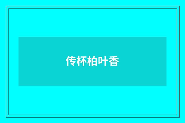 传杯柏叶香