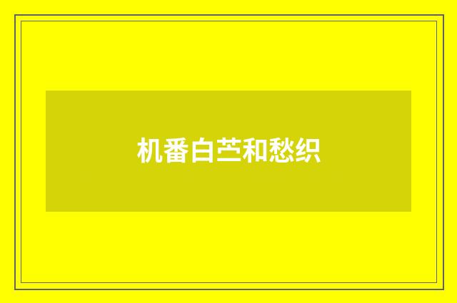 机番白苎和愁织