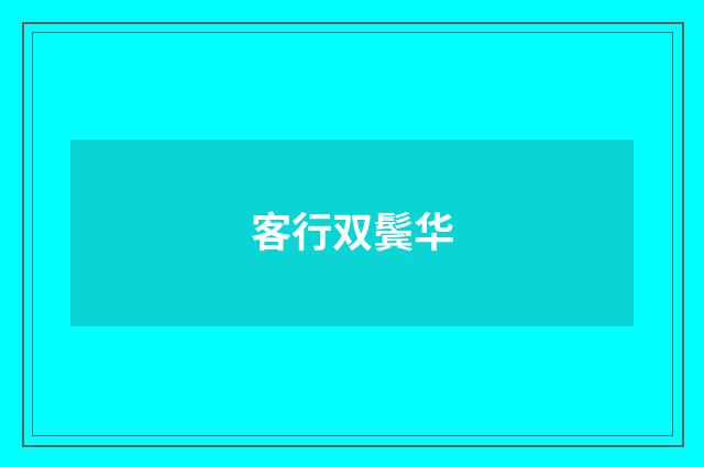 客行双鬓华