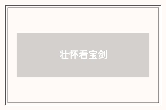 壮怀看宝剑
