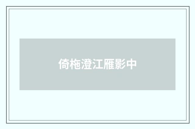 倚柂澄江雁影中