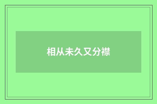 相从未久又分襟