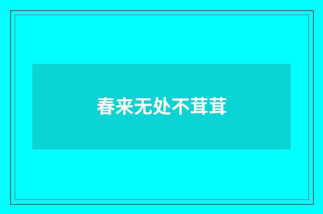 春来无处不茸茸