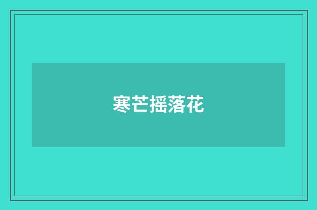 寒芒摇落花