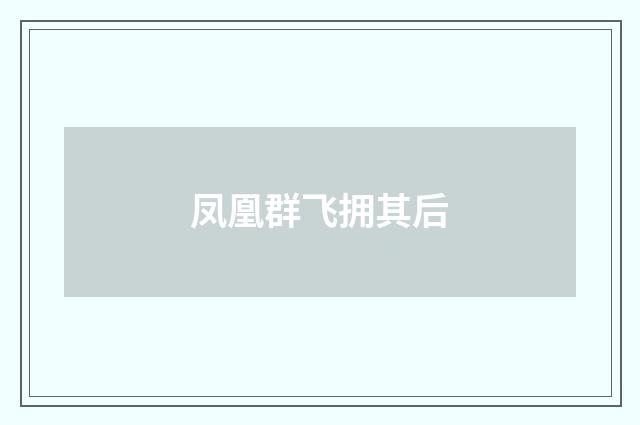 凤凰群飞拥其后