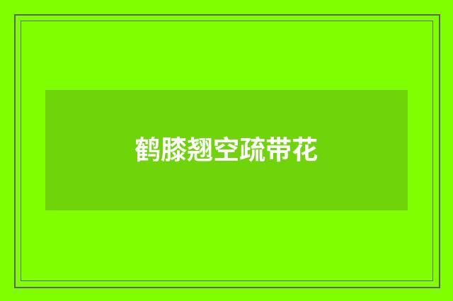 鹤膝翘空疏带花