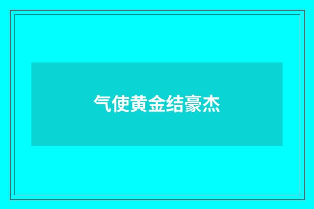 气使黄金结豪杰