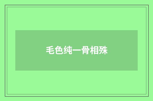 毛色纯一骨相殊