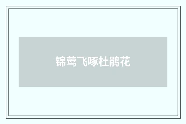 锦莺飞啄杜鹃花