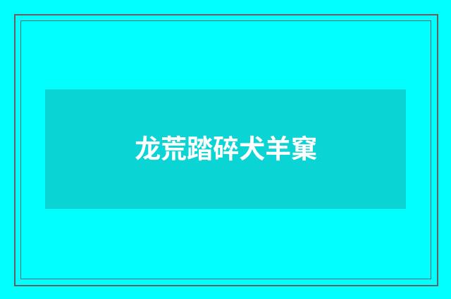 龙荒踏碎犬羊窠