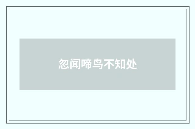 忽闻啼鸟不知处