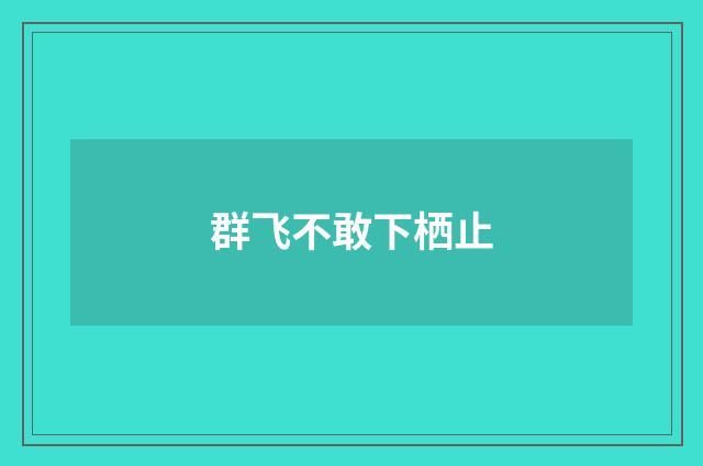 群飞不敢下栖止