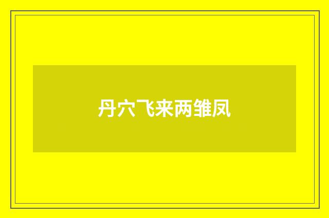 丹穴飞来两雏凤