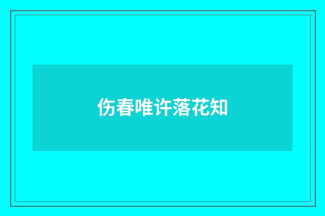 伤春唯许落花知