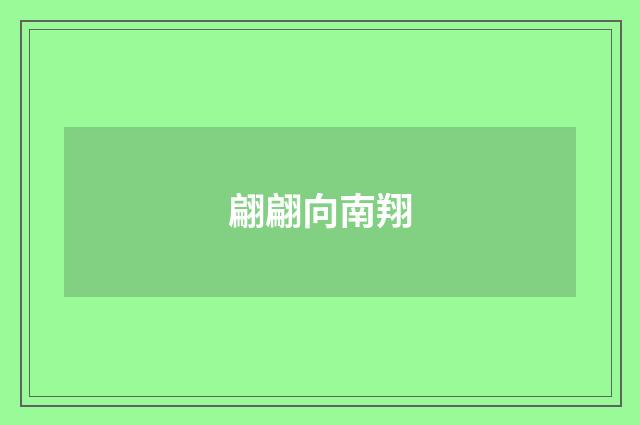 翩翩向南翔