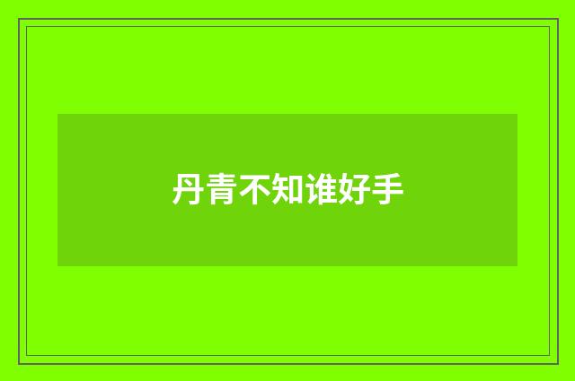 丹青不知谁好手