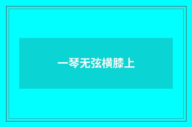 一琴无弦横膝上