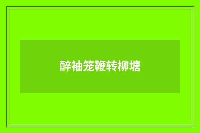 醉袖笼鞭转柳塘