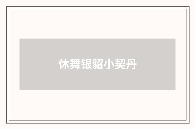 休舞银貂小契丹