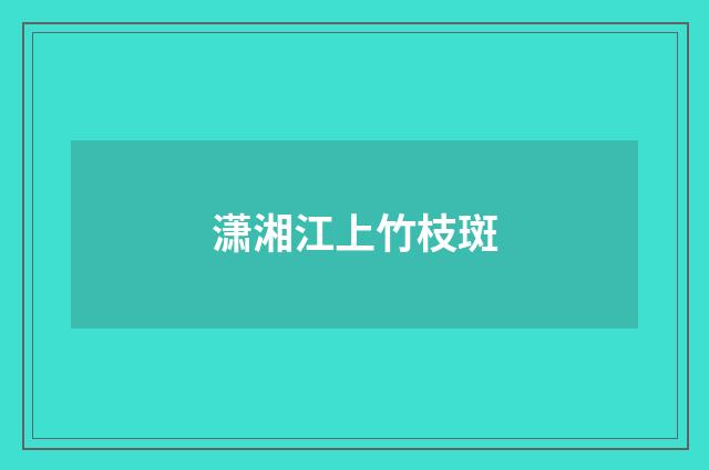 潇湘江上竹枝斑