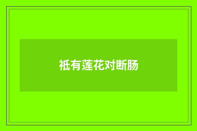 祗有莲花对断肠