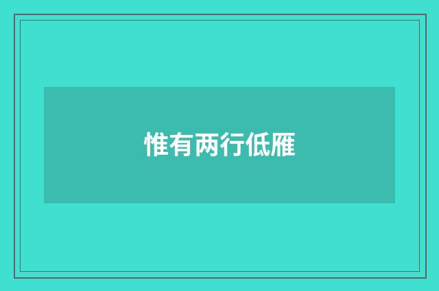 惟有两行低雁