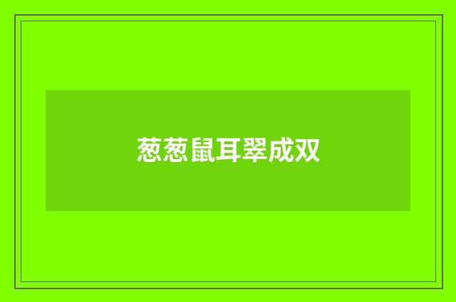 葱葱鼠耳翠成双