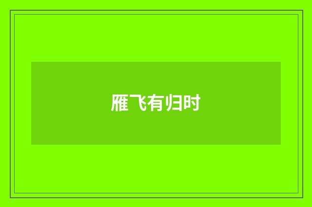 雁飞有归时