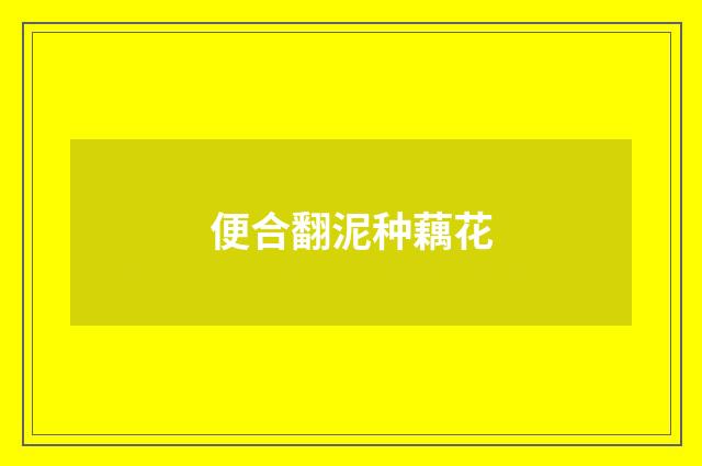 便合翻泥种藕花