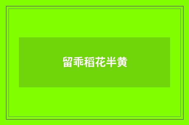 留乖稻花半黄
